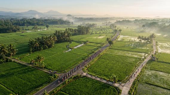 Rakernas ISSITA 2025 [DUMMY]